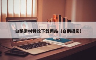 上海白鹅素材特效下载网站（白鹅摄影）