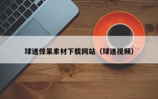 上海球迷惊呆素材下载网站（球迷视频）